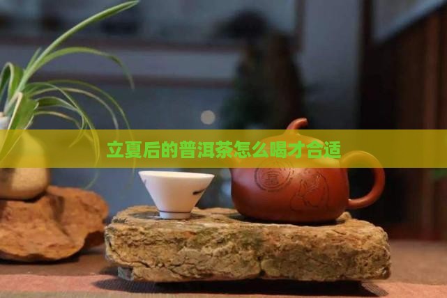 立夏后的普洱茶怎么喝