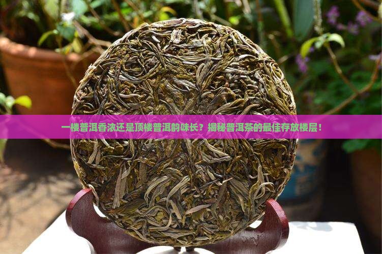 普洱茶放一楼还是顶楼