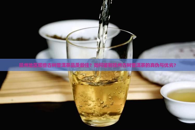 抚州品质好的古树普洱茶 抚州品质好的古树普洱茶
