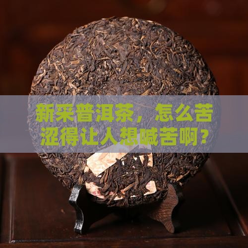 普洱茶新茶口味苦涩