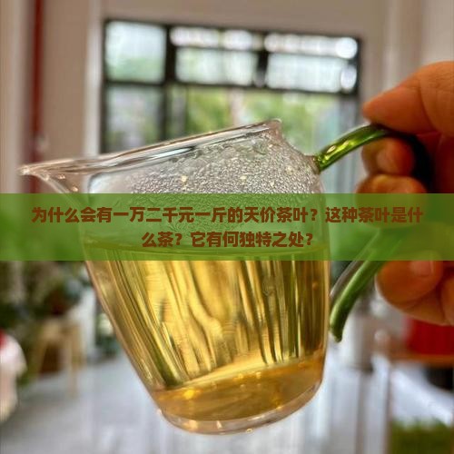 一万二千元一斤什么茶叶