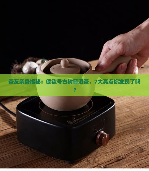 德钦号古树普洱茶作品