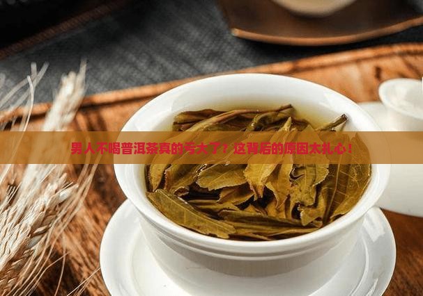 男人不喝普洱茶好吗为什么