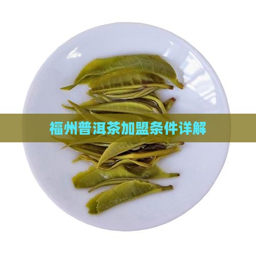 福州普洱茶渠道加盟条件
