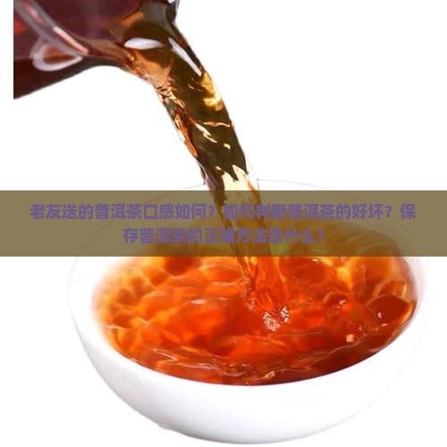 老友送的普洱茶好喝吗怎么样