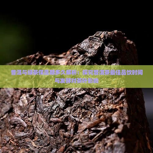 普洱绿茶保质期多久