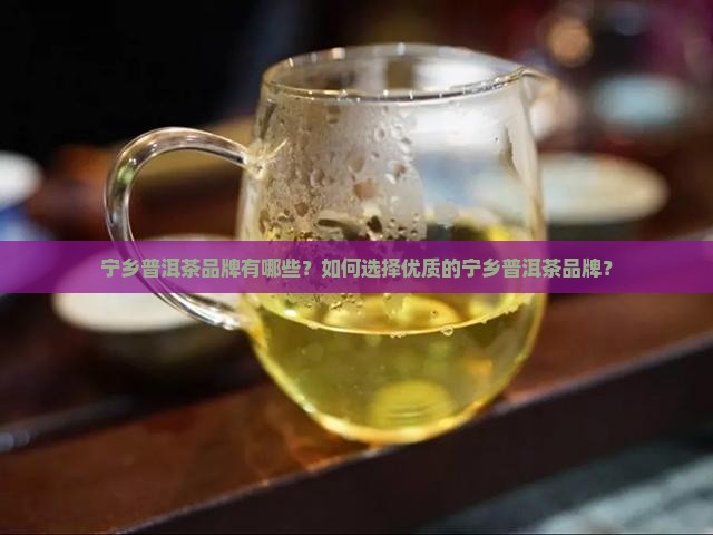 宁乡普洱茶品牌