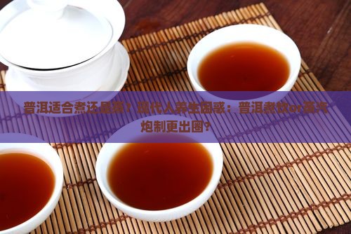 普洱适合煮还是蒸