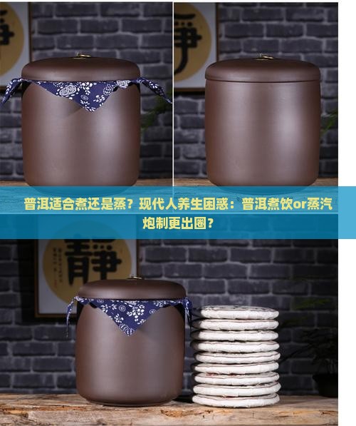 普洱适合煮还是蒸