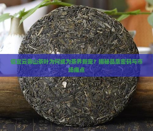 信宜云雾山茶叶