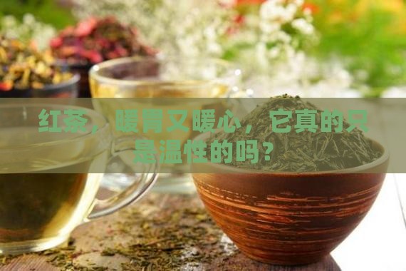 红茶是不是温性的
