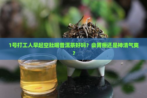 空肚喝普洱茶好不好