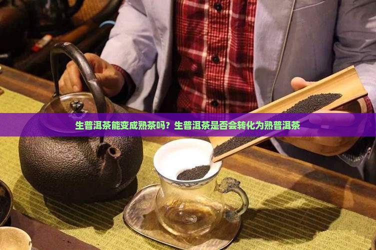 生普洱茶能变成熟茶吗