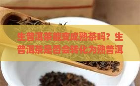 生普洱茶能变成熟茶吗