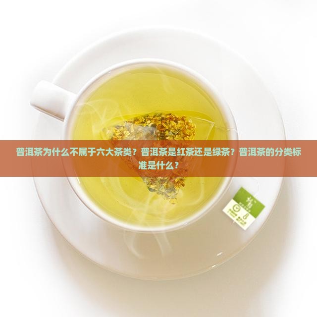普洱茶不属于6大茶类