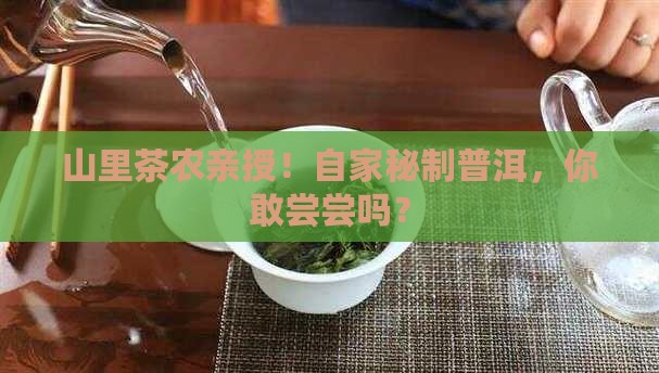 茶农自卖普洱茶