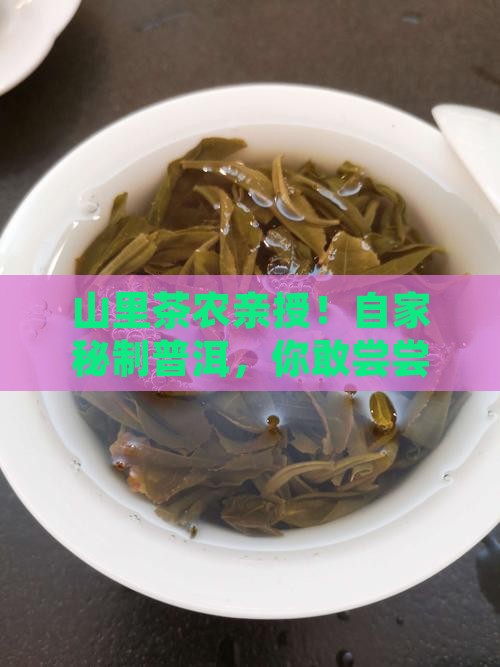 茶农自卖普洱茶