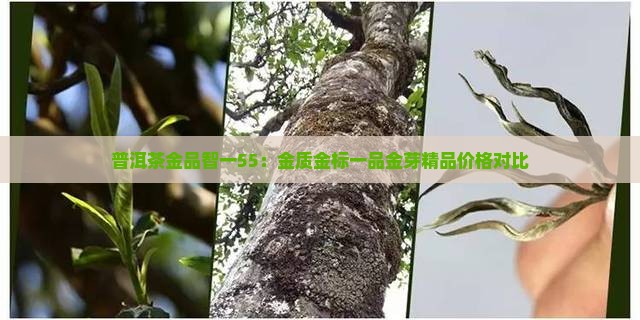普洱茶金品智一55