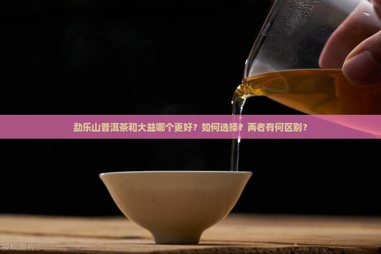勐乐山普洱茶和大益哪个好