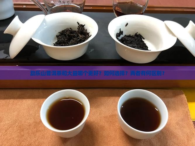 勐乐山普洱茶和大益哪个好
