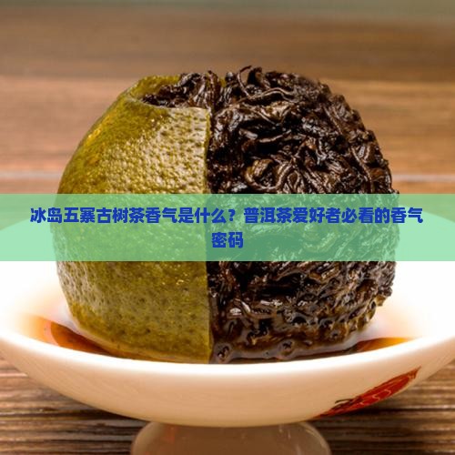 冰岛五寨古树茶香气