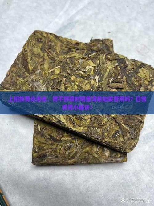 胃不好能喝普洱茶放姜吗