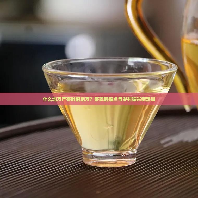 什么地方产茶叶的地方