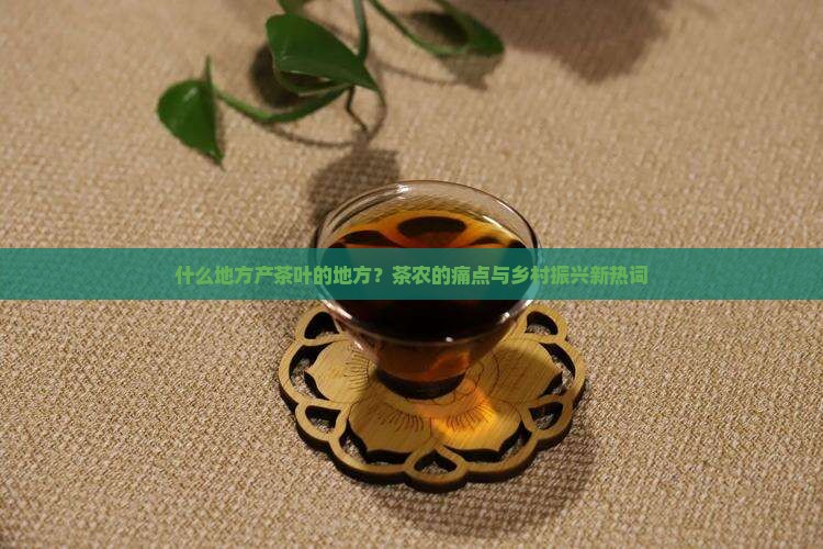 什么地方产茶叶的地方