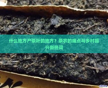 什么地方产茶叶的地方