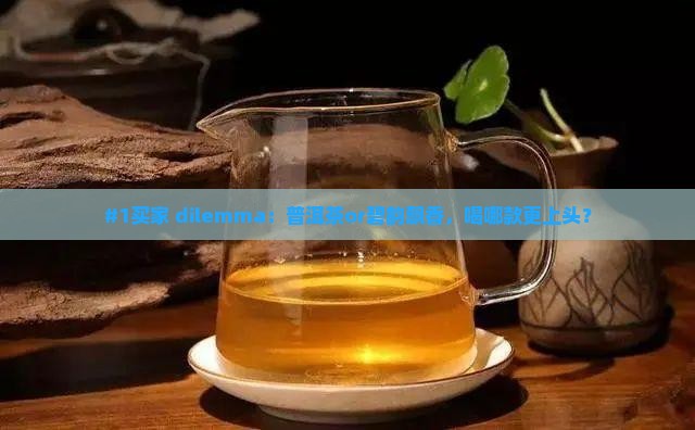 普洱茶好还是碧韵飘香好