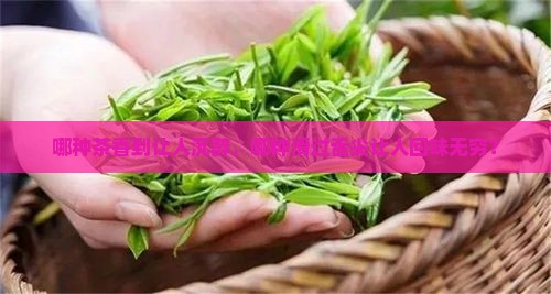 哪种茶香气浓郁什么茶比较香滑