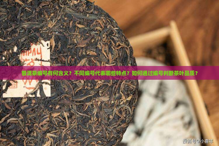 普洱茶编号有何含义及特点