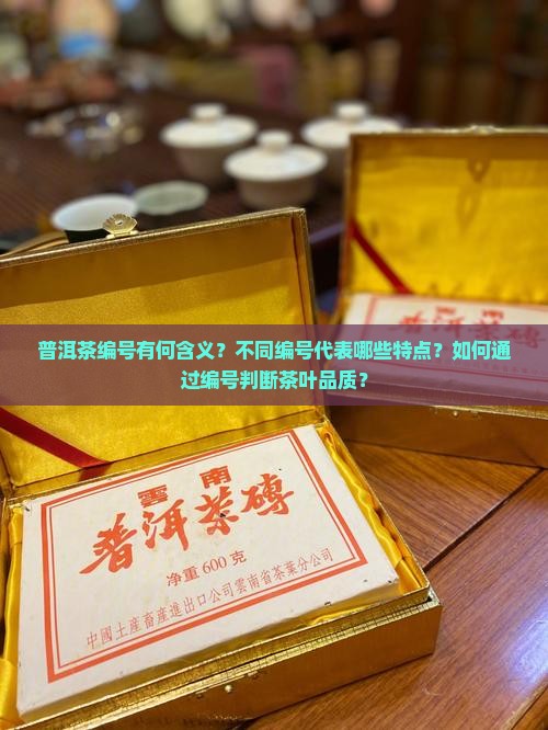 普洱茶编号有何含义及特点