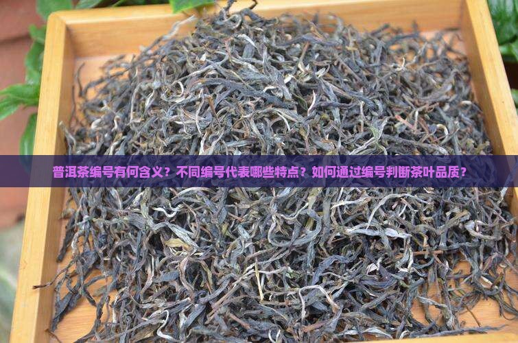 普洱茶编号有何含义及特点