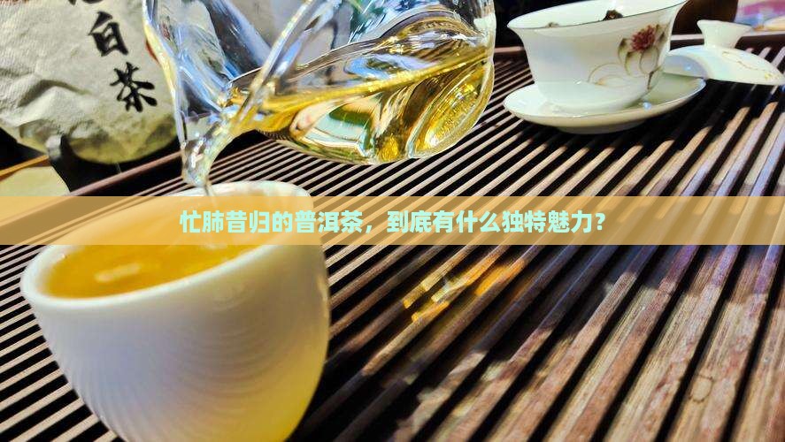 普洱茶忙肺昔归的特点