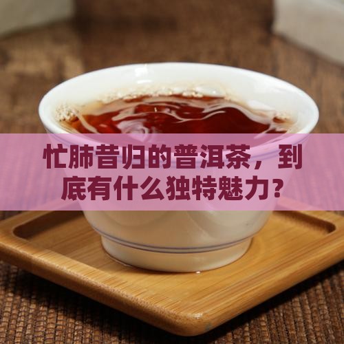 普洱茶忙肺昔归的特点