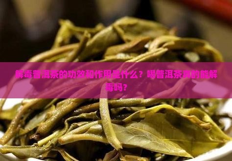 解毒普洱茶的功效和作用