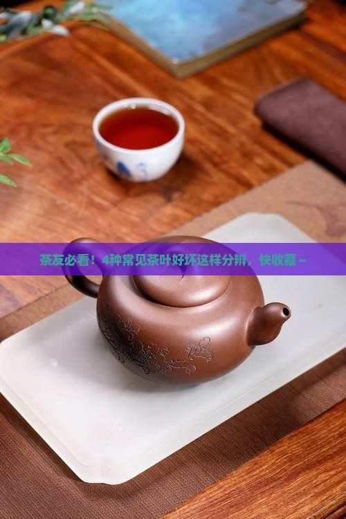 各种茶叶怎么能分别好坏