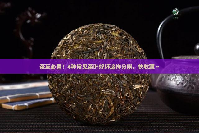各种茶叶怎么能分别好坏
