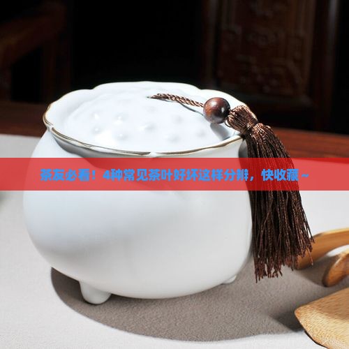 各种茶叶怎么能分别好坏