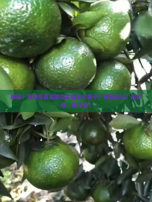 毛顺号普洱茶价格