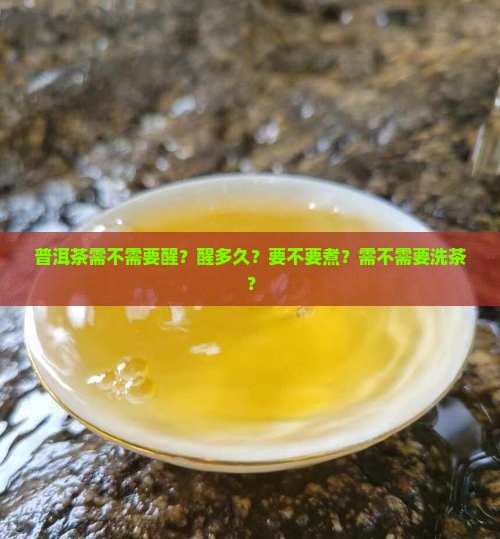 普洱茶需不需要醒
