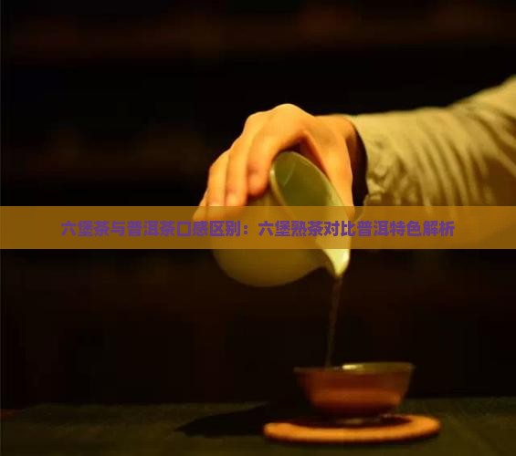 六堡茶和普洱茶哪个口感好