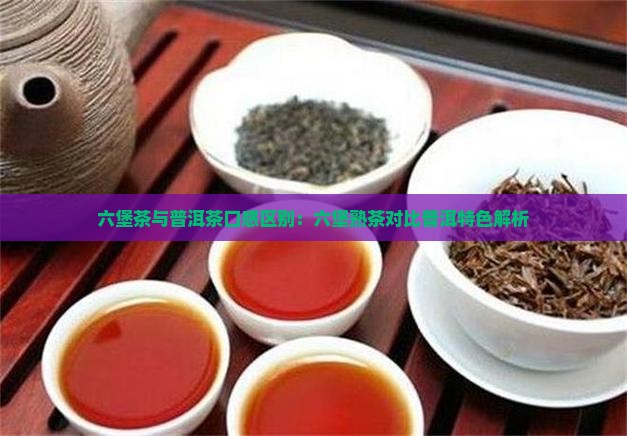 六堡茶和普洱茶哪个口感好