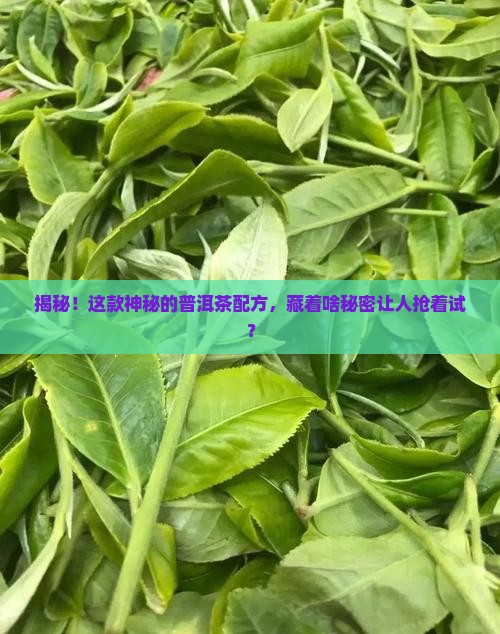 普洱茶配方编号