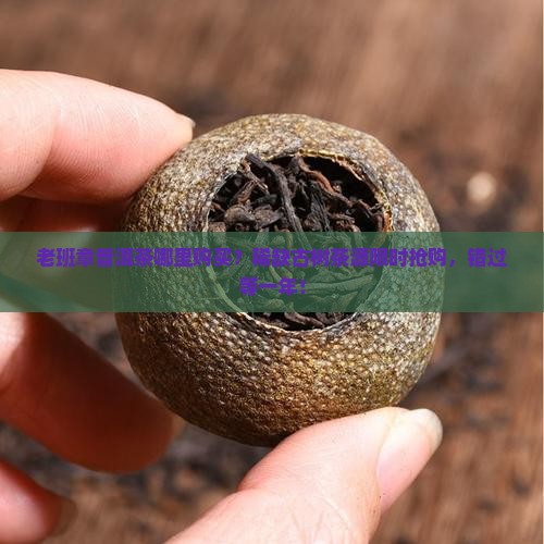 老班章普洱茶哪里购买