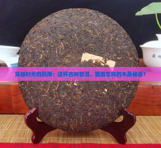 木质香古树熟普洱茶