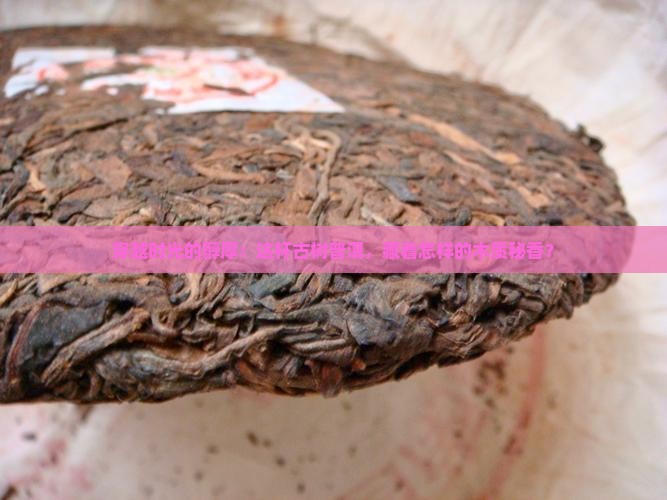 木质香古树熟普洱茶