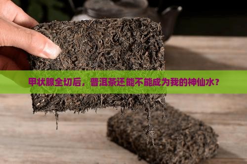 甲状腺全切者能喝普洱茶吗