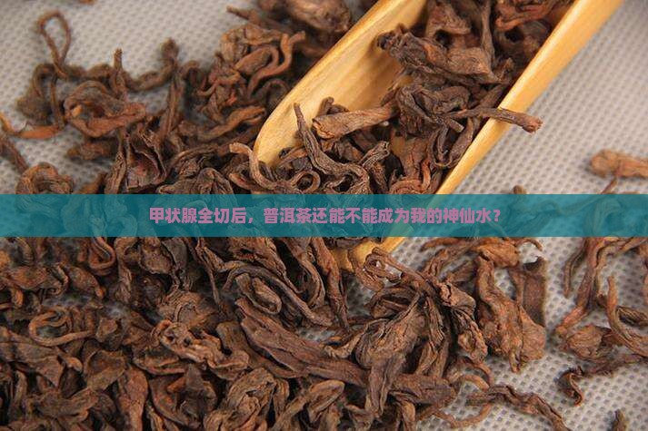 甲状腺全切者能喝普洱茶吗